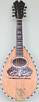 Mandolin, Gennaro Lingetti, Napoli, 1908